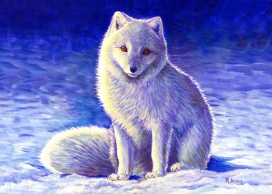 Winter Arctic Fox