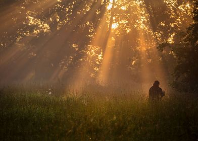 Foggy morning