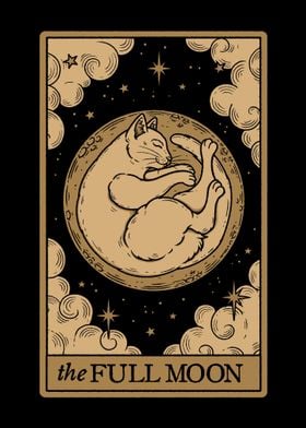 The Full Moon Cat