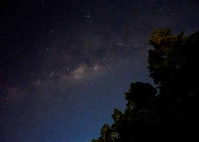 Milky Way and Trees