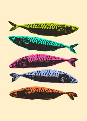 Colorful Mackerel Fish