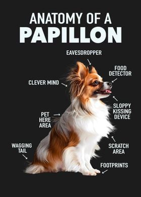 Papillon