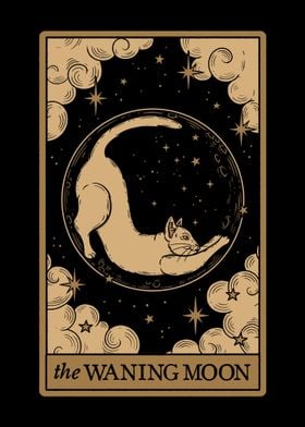 The Waning Moon Cat