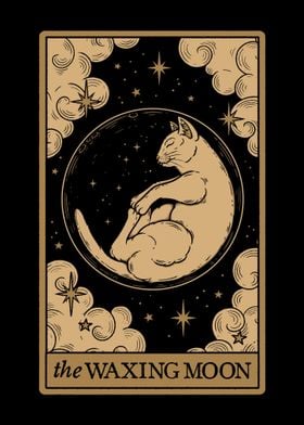 The Waxing Moon Cat