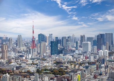 Fascinating Tokyo Skyline