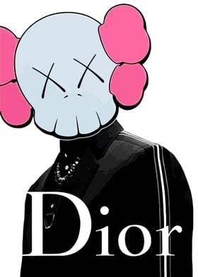 Kaws dior