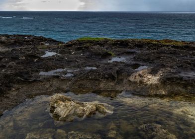 Coral Island View