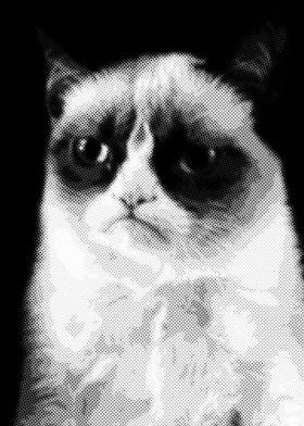 Grumpy cat