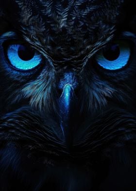 Dark Owl