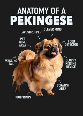 Pekingese