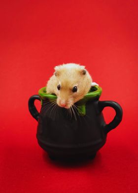 Hamster In A Glass