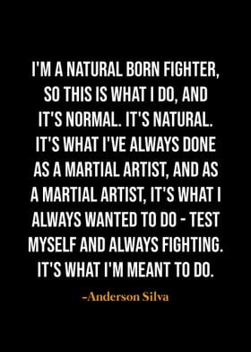 Anderson Silva quotes 