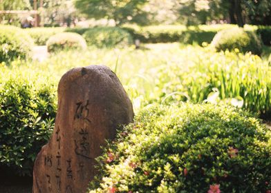 Kyoto Temple Garden