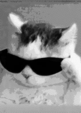 Cool cat