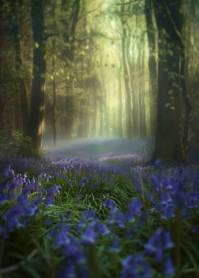 Bluebell Bliss