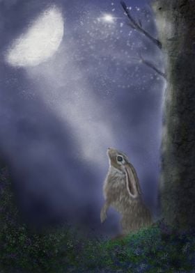 Gazing Hare