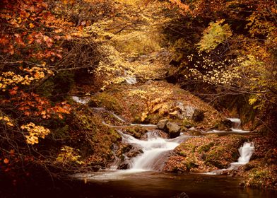 Flowing Stream