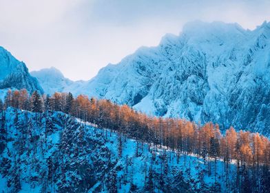 Snowy Mountains