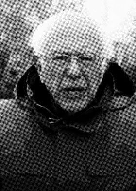 Bernie sanders