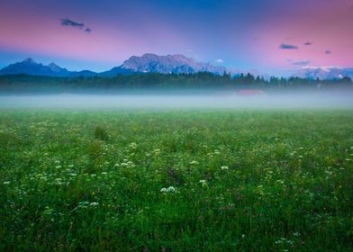 Summer Morning in the Alps