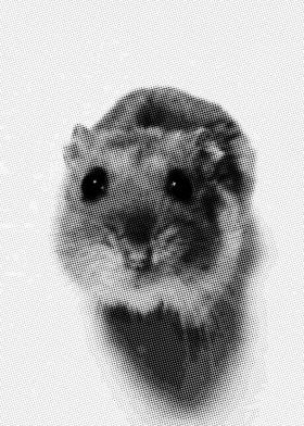 Hamster