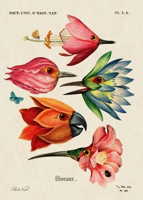 Flower birds