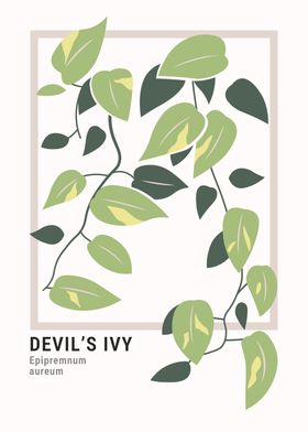 Devils Ivy plant artwork