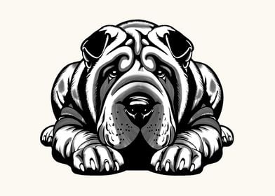 Shar Pei