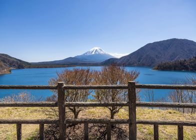 Lake Motosu and Mount Fuji