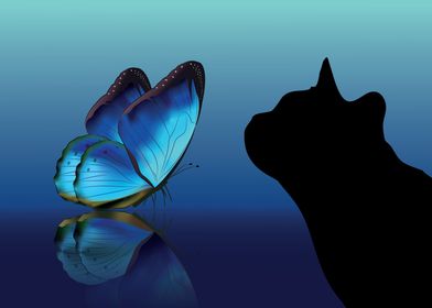 Cat and butterfly