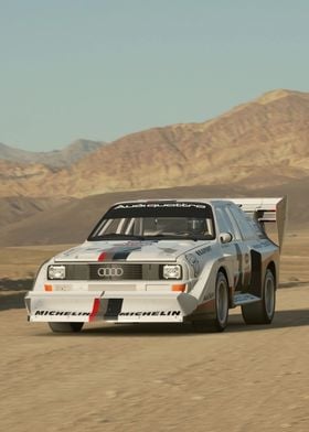 Sport Quattro Rally