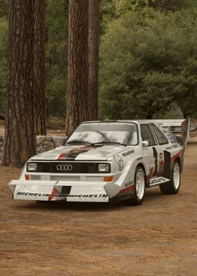 Sport Quattro Rally