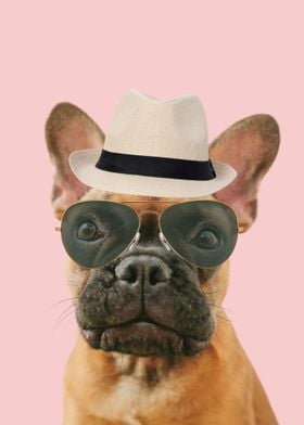 cute dog with fedora hat