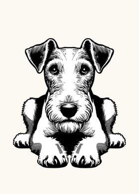 Fox Terrier