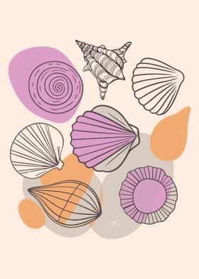 Seashells