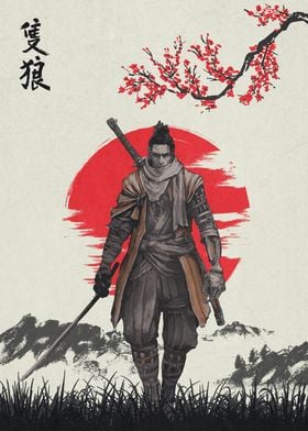 Sekiro Shadow Video Game