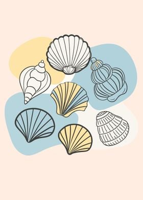 Seashells