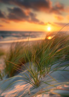 Golden Sunset on Dunes