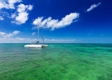 Catamaran cruise on ocean