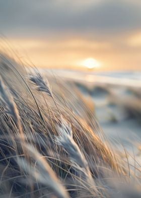 Golden Hour Dune Grass