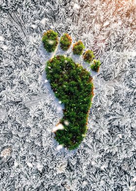 Natures footprint in snow