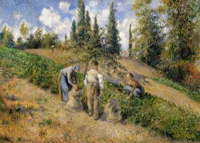 The Harvest Pontoise