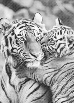 mother and tiger cub