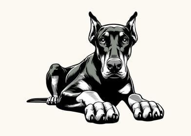 Doberman Pinscher