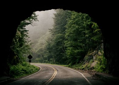 Through the Tunnel