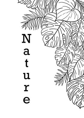 Nature 