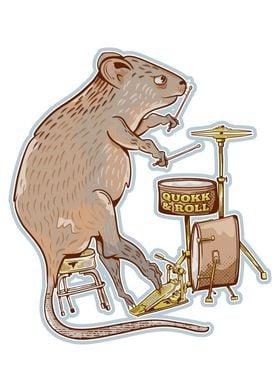 Quokka Drummer 