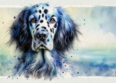 Snglish Setter blue belton