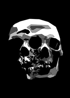 Twin Skull Pop Art