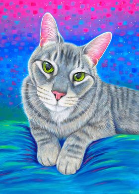 Colorful Grey Tabby Cat